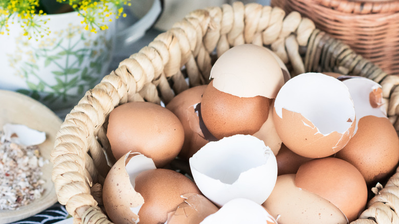 Brown and white eggshells sit in a basket near a potted plant