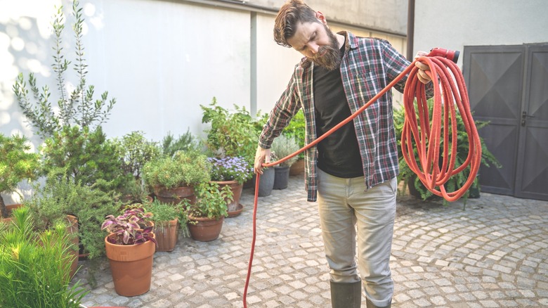 Bearded man gathering garden hose beside container garden on cobblestone driveway