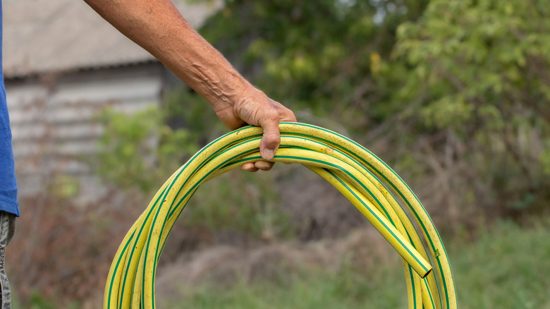 A hand holds an old garden hose