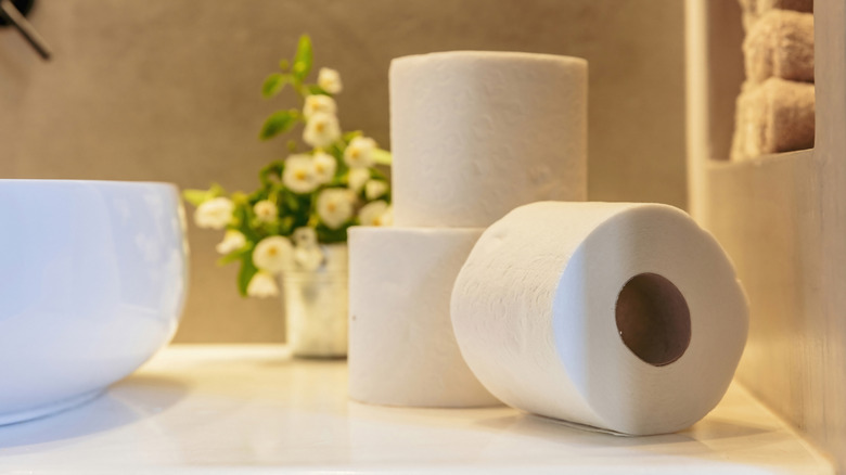 A small grouping of toilet paper on a countertop
