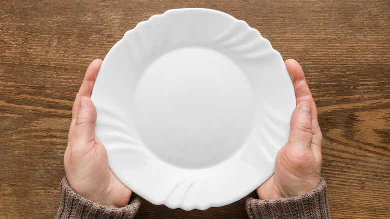 Turn Old Plates Into Beautiful & Functional Garden Decorations You'll Love