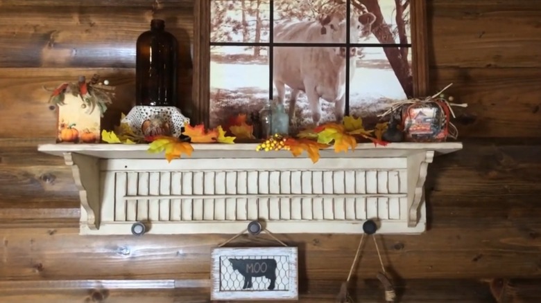 A shutter shelves holding seasonal decor and a photo of a cow
