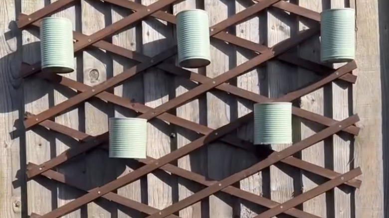 Finished planters lined on a trellis