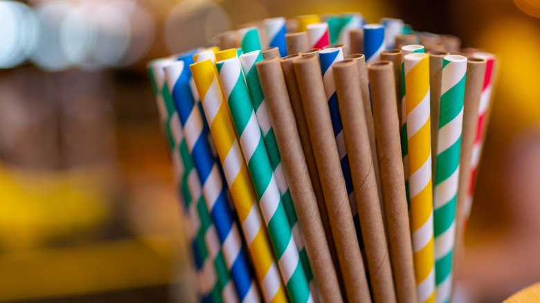 Bundle of multicolored paper straws