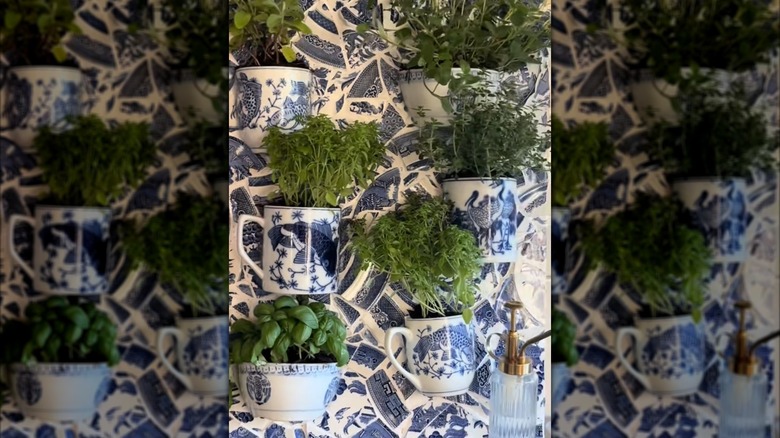 Completed DIY herb garden made from broken plates and mugs.