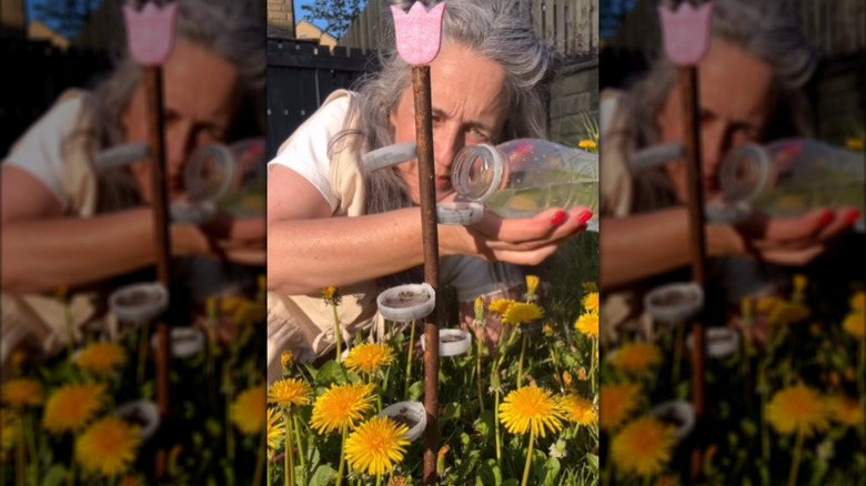 Turn Trash Into Garden Magic: Bottle Lids Become A Cute Pollinator ...