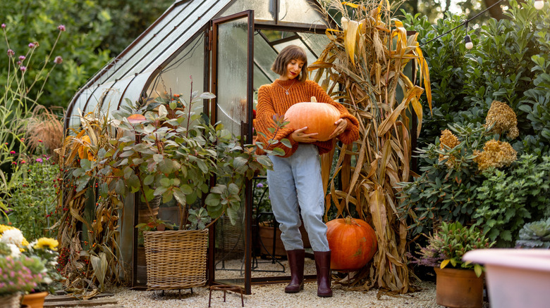 Woman carrying a pumpkin in her garden