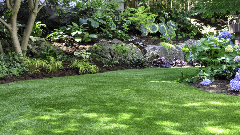 A green, spring lawn in someone's backyard