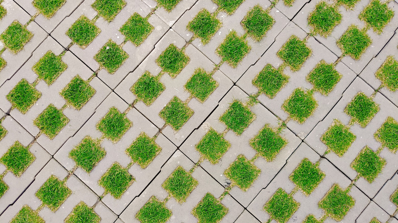 Permeable paver patio with grass growing through.