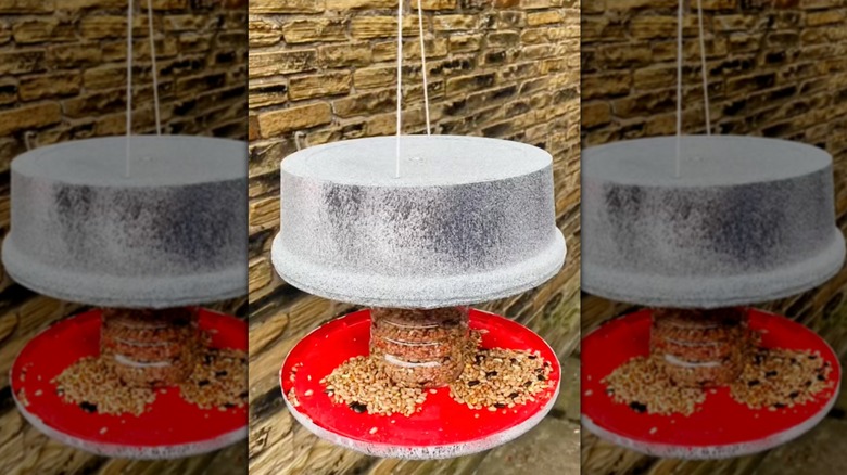 Hanging DIY bird feeder made from a painted plastic container holding bird seed