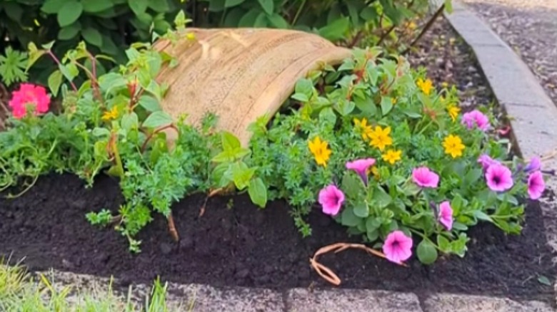 Broken planter partially buried and spilling over plants