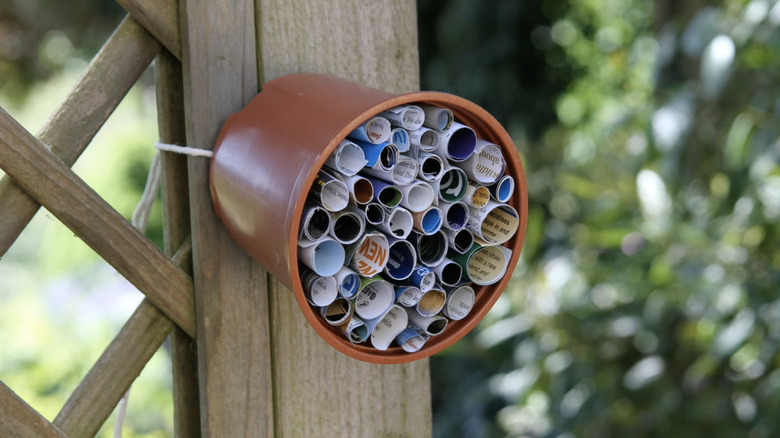 Bee hotel made from a plastic plant pot on a fence post