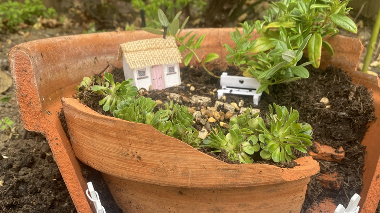 Fairy garden in broken flower pot