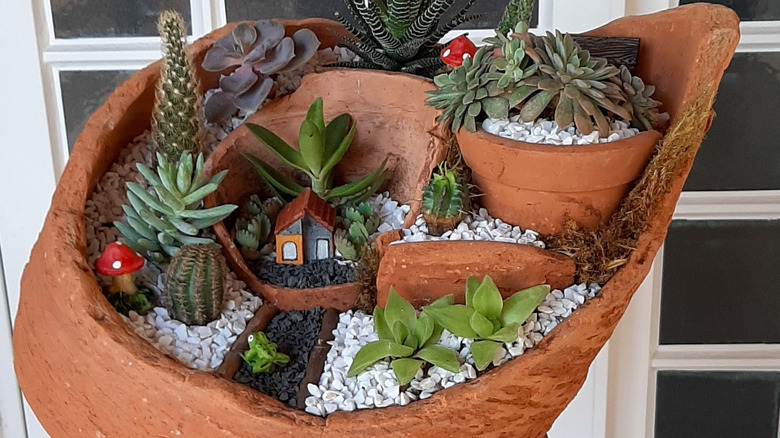 Broken pot succulent garden