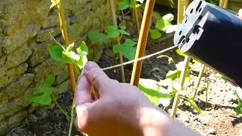 Pulling twine through hole in plastic pot for easy dispensing