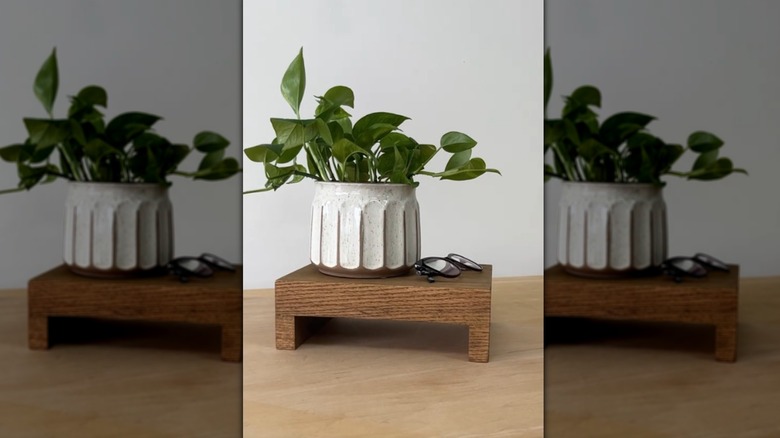 Wooden riser on a counter with a potted plant and glasses on it