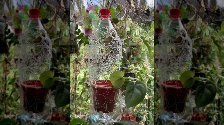 A hanging planter made from a soda bottle with a floral cut out design.