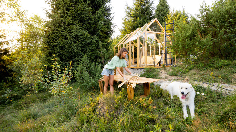 Person building greenhouse frame in backyard next to white dog.