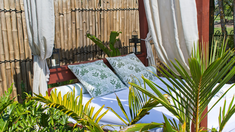 A daybed in a backyard with curtains and plants