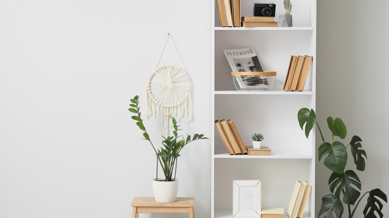 A basic white bookshelf styled with neutral decor and plants