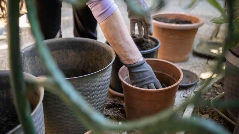 hand reaching for old plant pots