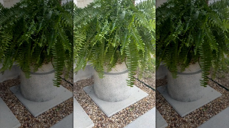 DIY faux stone plant stand