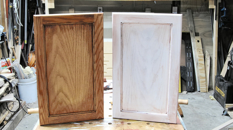 A pair of glazed cabinet doors with accented edges and panels