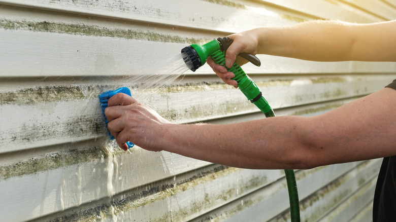 Man scrubbing and washing algal growth from vinyl siding