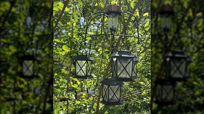 Solar lights hanging from a planter frame near a tree