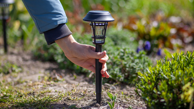 person inserting a solar light in the ground in a garden