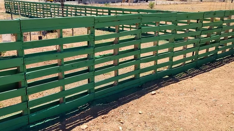 Fence made of pallets surrounding a sparse garden