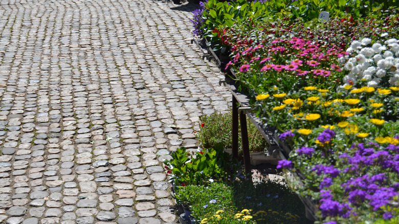 Cobblestone pathway lined with flowers