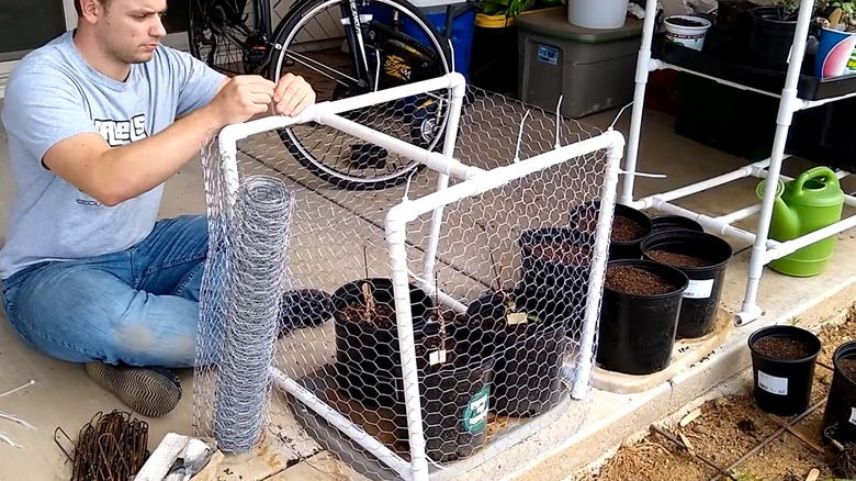 Creator building screen plant enclosure