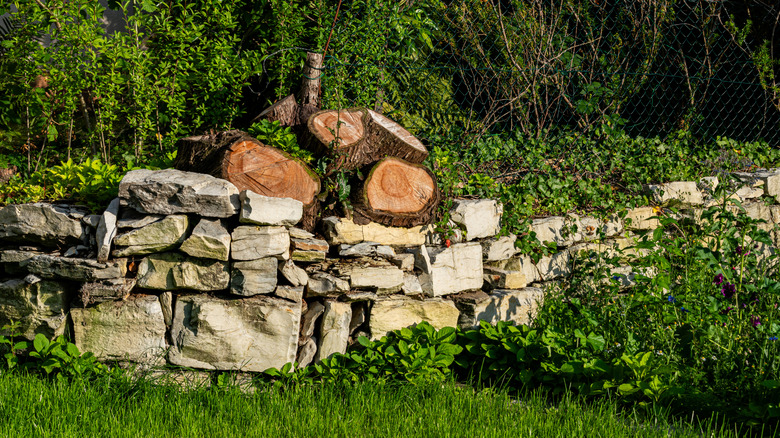 Tree stump in a backyard next to a brick retaining wall
