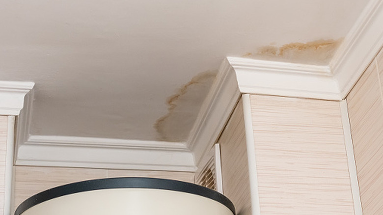 Dark, yellow-brown water stains on ceiling near wall.