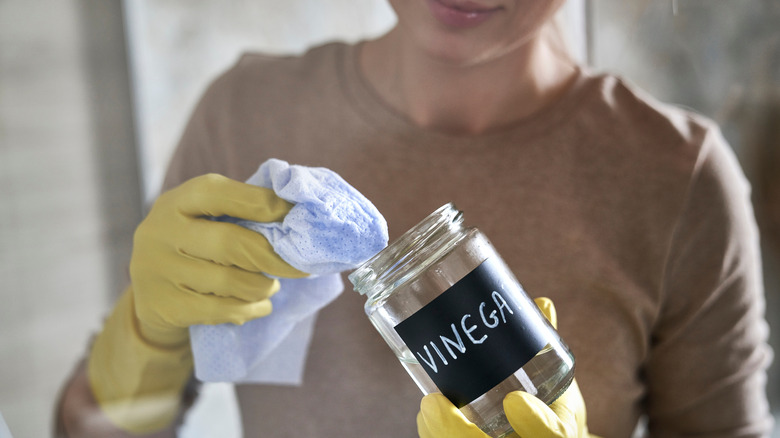 Person dabbing cleaning cloth with vinegar.