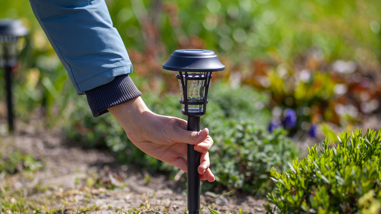 Person's hand sticking traditional style solar stake light into ground beside outdoor garden