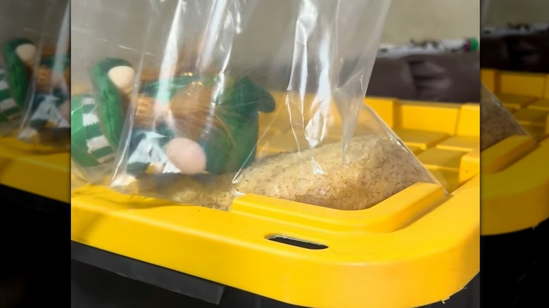 gnome stuffed toy in bag with raw rice