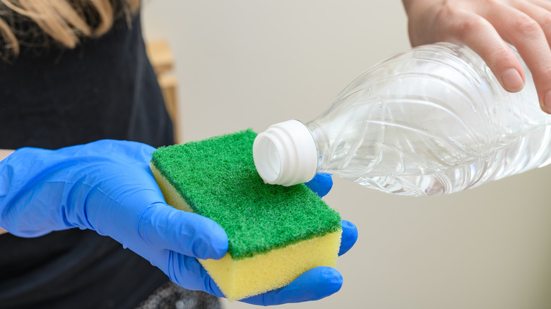 Pouring vinegar onto a sponge.