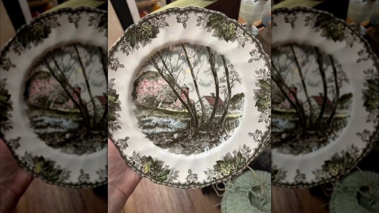 Woman holding up Johnson Brothers plate.