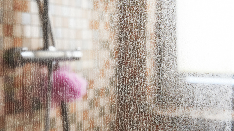 A view of the shower head, window, and loofah, through water-stained glass doors.