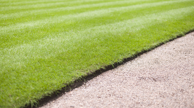 the crisp edge of a lawn along a gravel pathway
