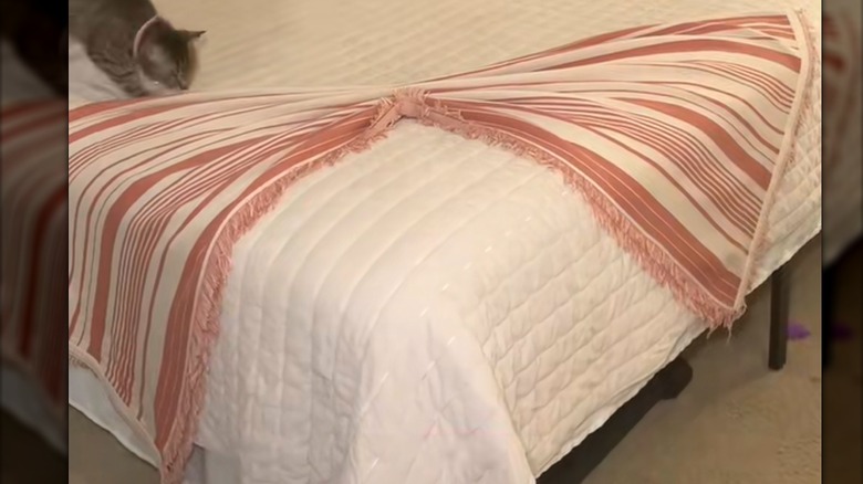 Striped and fringed throw blanket shaped into a bow on white bed