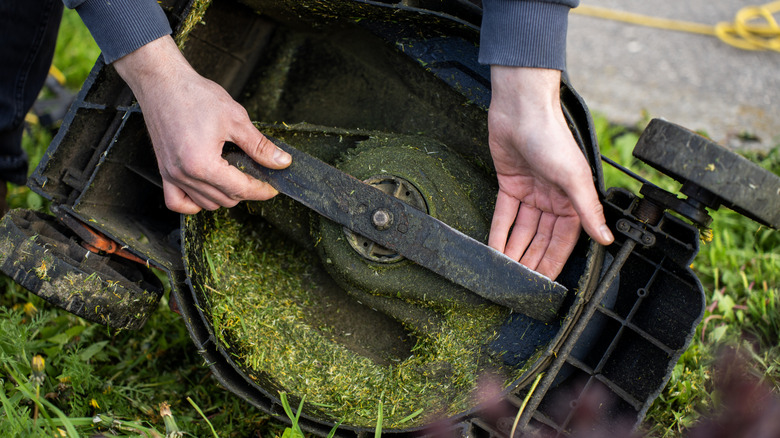 A person examining the lawn mower blade and deck for stuck-on grass.
