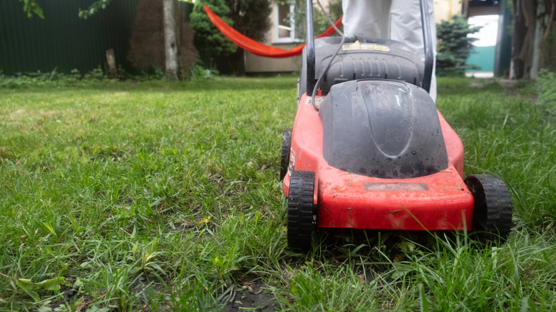 A person mowing the yard and leaving an uneven, shaggy cut behind.