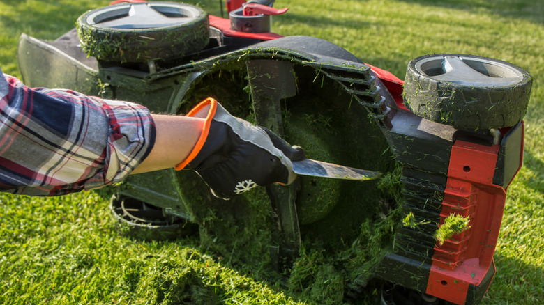 A person using a putty knife to scrape stuck-on grass from the lawn mower deck.