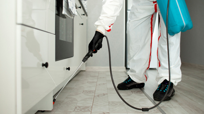 professional pest control technician spraying for cockroaches inside a home