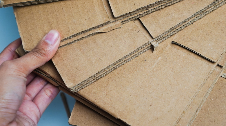 hand holding strips of cardboard