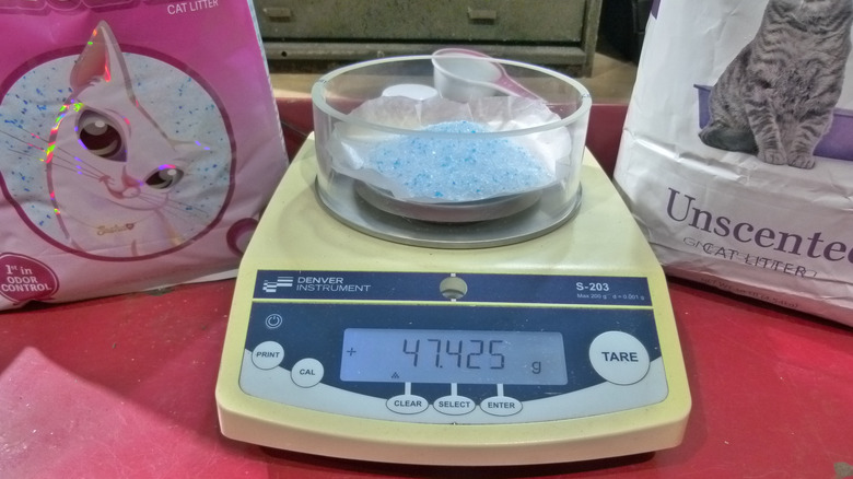 Weighing the post-experiment cat litter to determine how much moisture it adsorbed