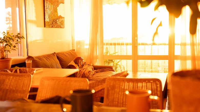 Orange light in cozy living room